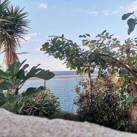 Loft Sul Mare Lägenhet Balestrate Exteriör bild