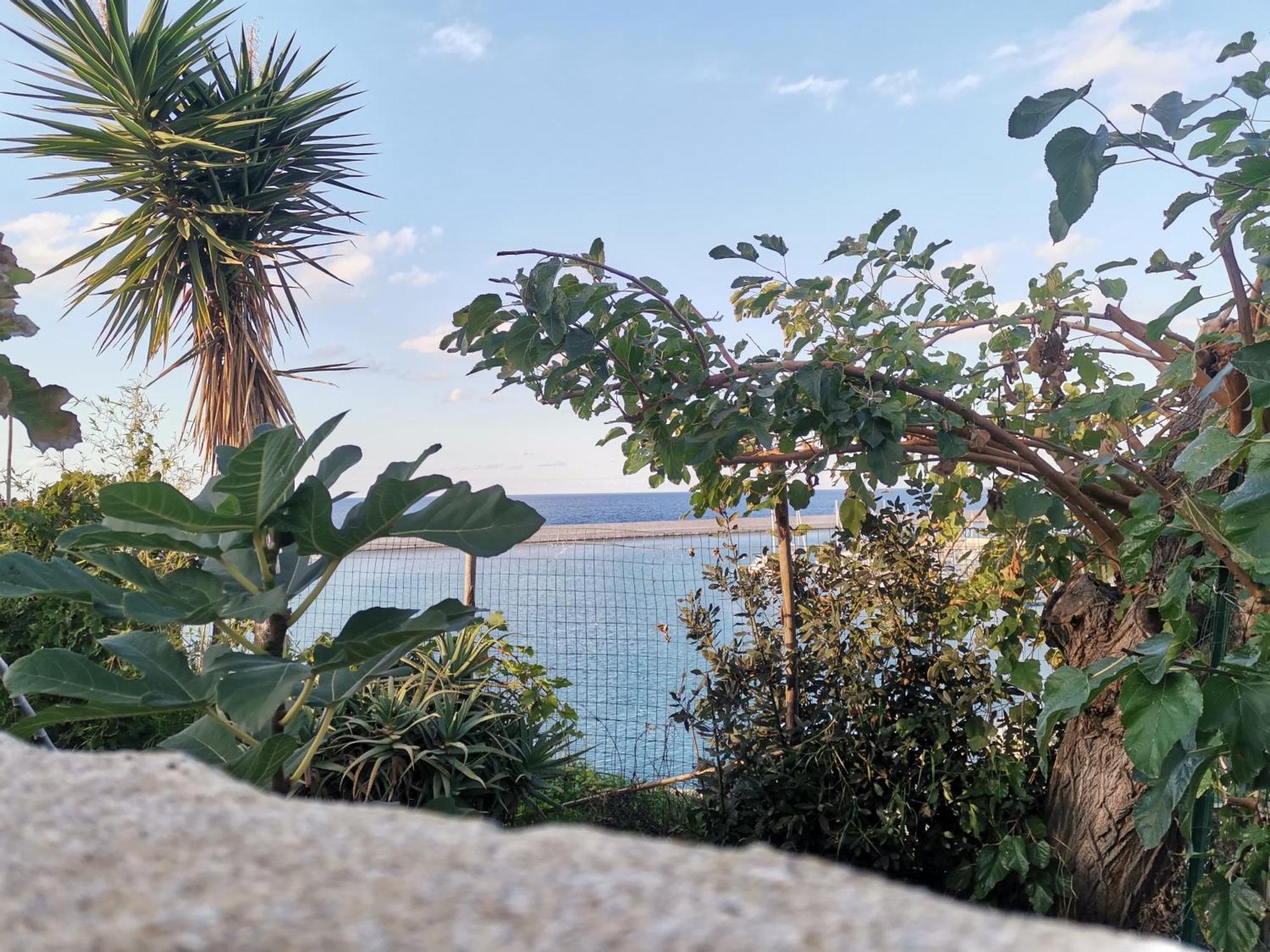 Loft Sul Mare Lägenhet Balestrate Exteriör bild